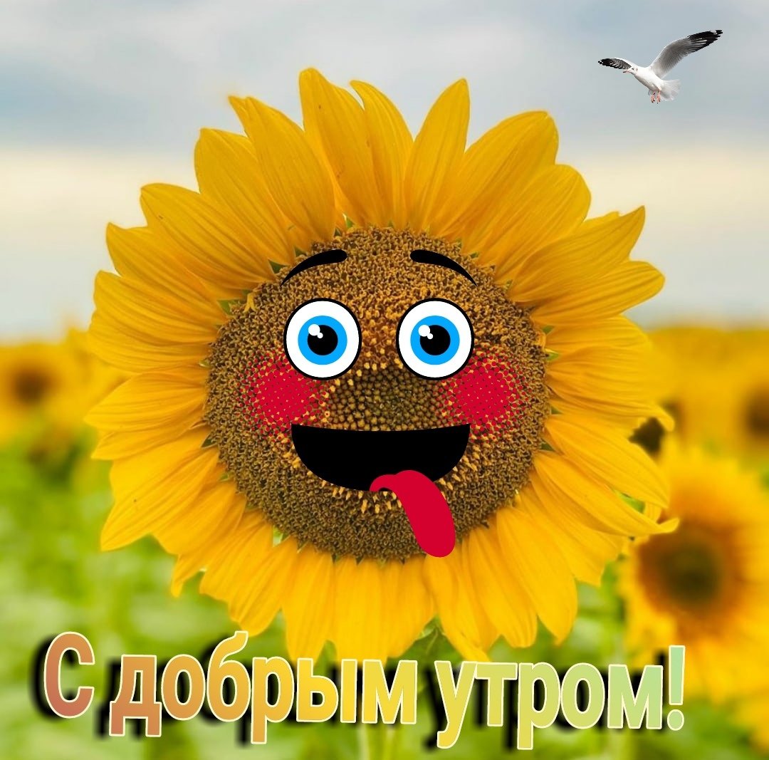 С добрым утречком красавица