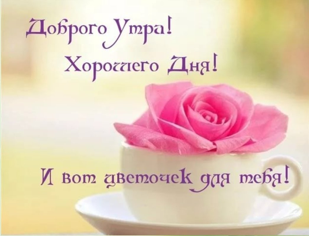 Спасибо от всей души