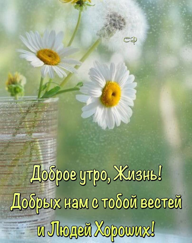 Пожелания доброго утра и скорейшего выздоровления