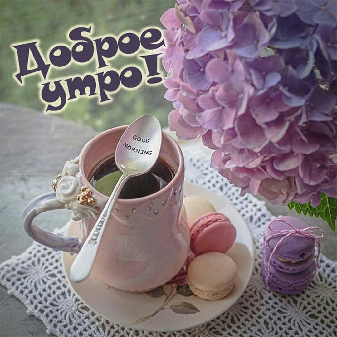 Доброе утро лето