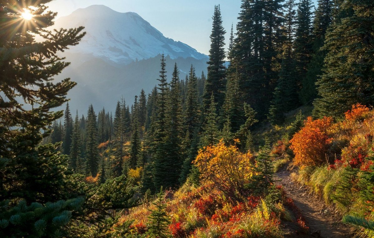 Гора Рейнир осень