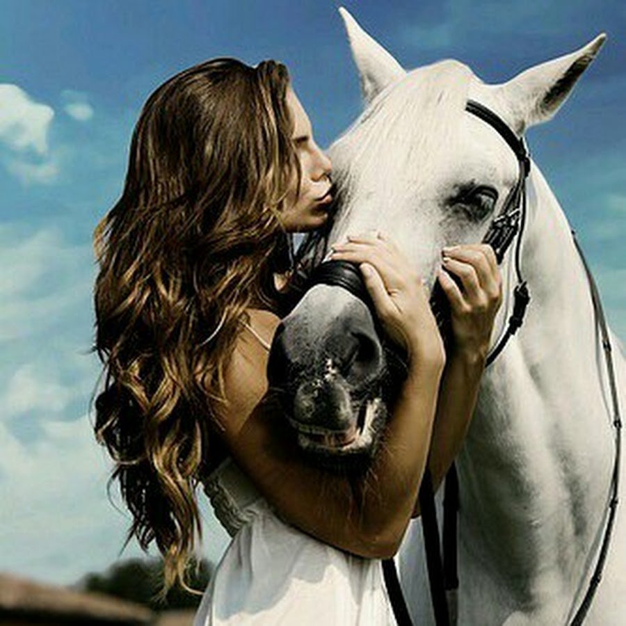 Люди и животные на природе