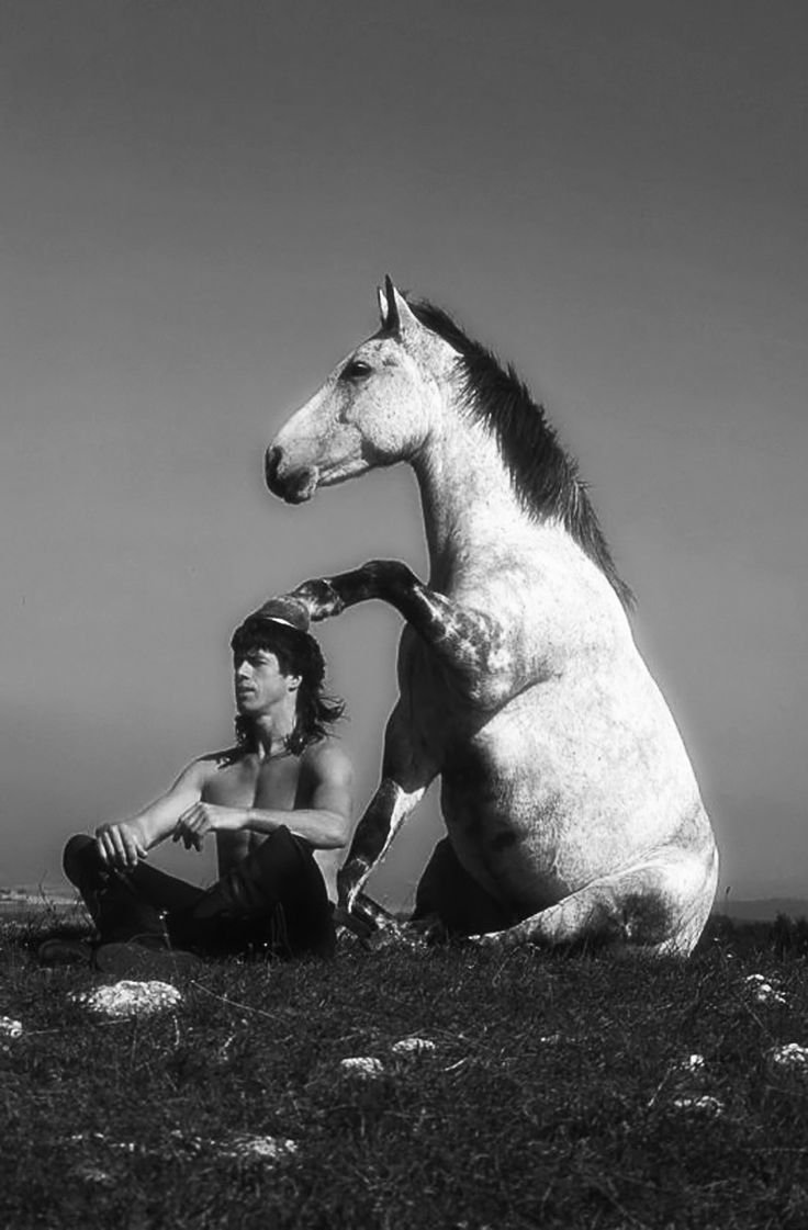 Небесные кони Ферганы