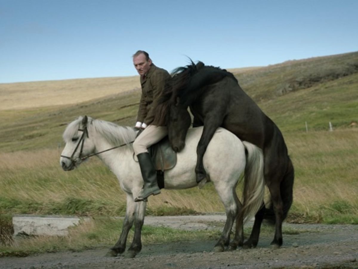 Девушка едет на коне