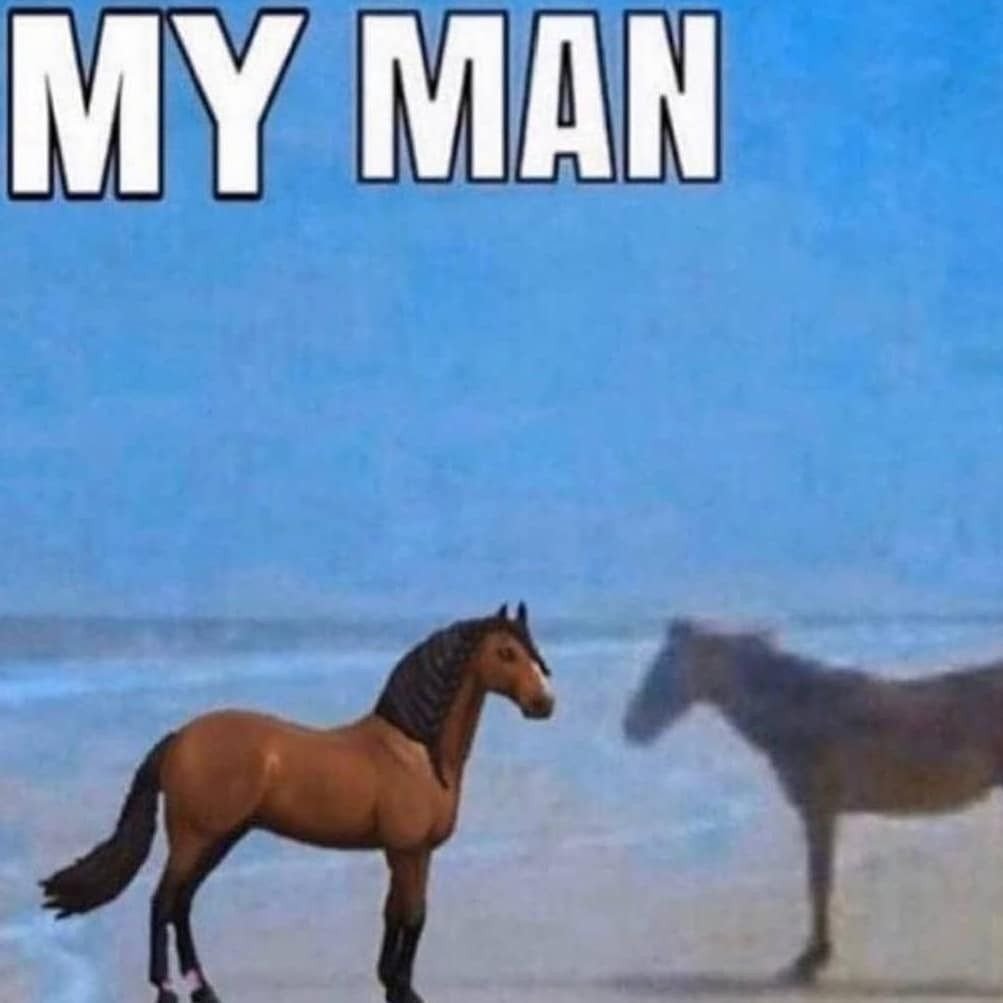 Бегущие лошади на фоне гор