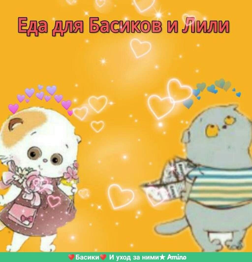 Басик Лили 27см