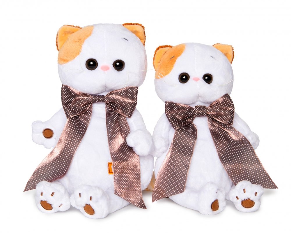 Ks22-094 Басик- романтик