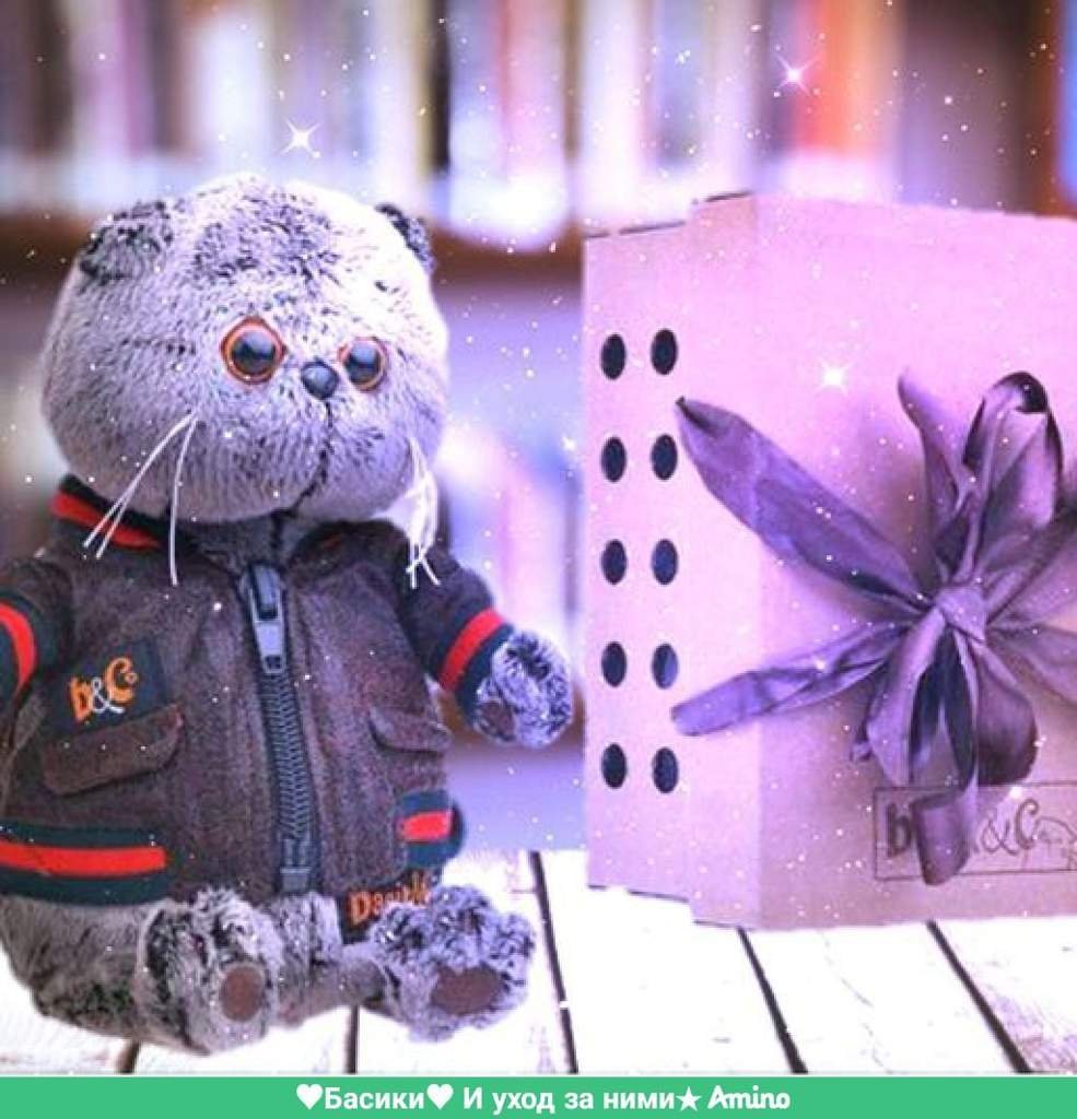 Басик и лили картинки