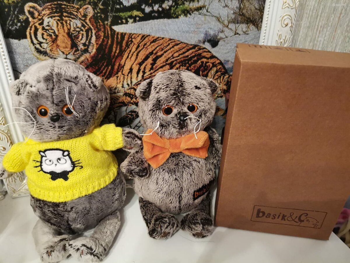 Кошечка Лили в костюме овечки