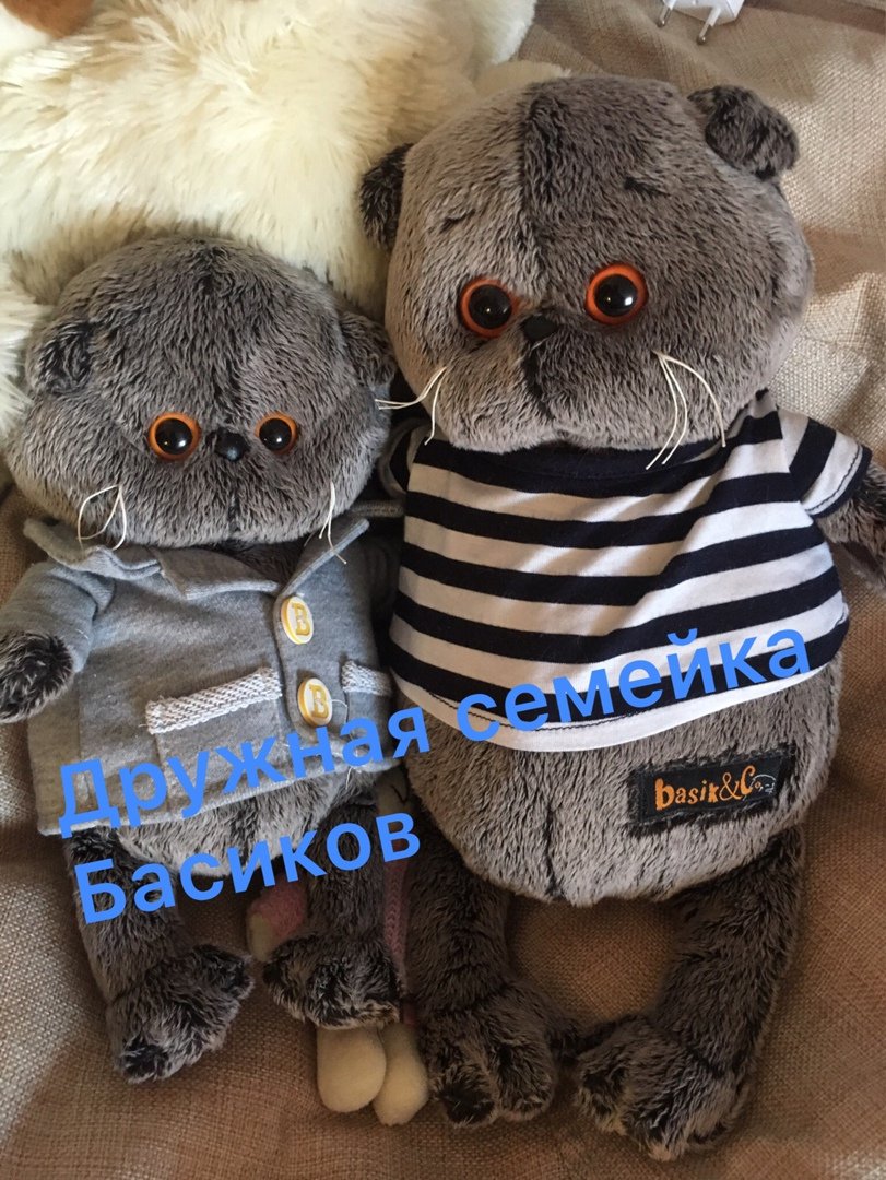 Кот Басик и Зайка