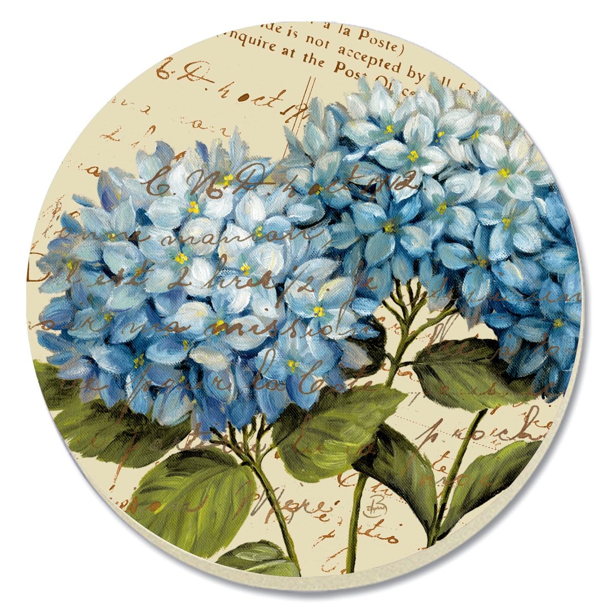 Kathryn White Парижская гортензия