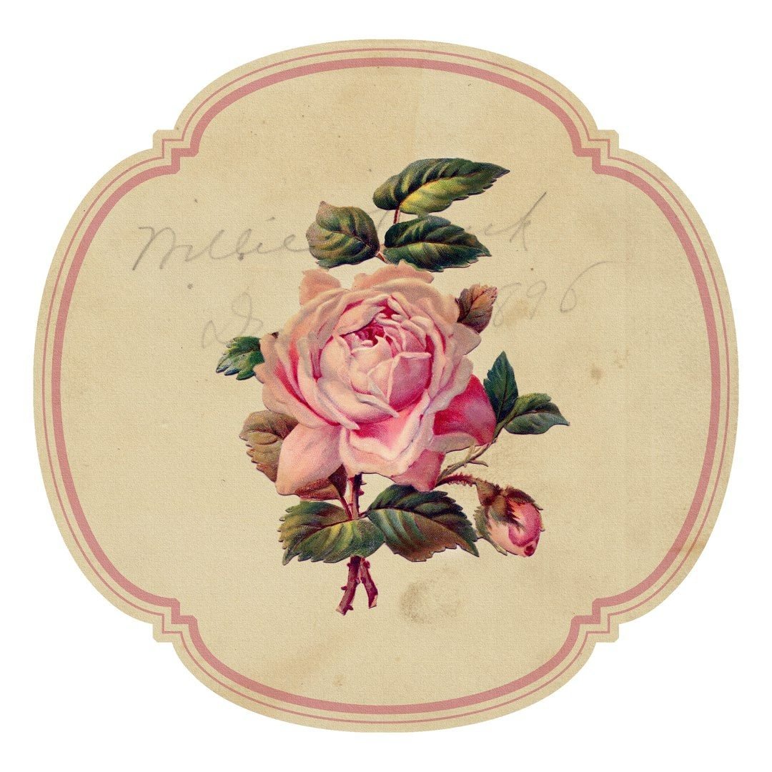 Винтажные этикетки