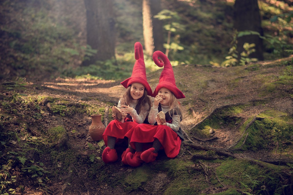 Иллюстрации с гномами