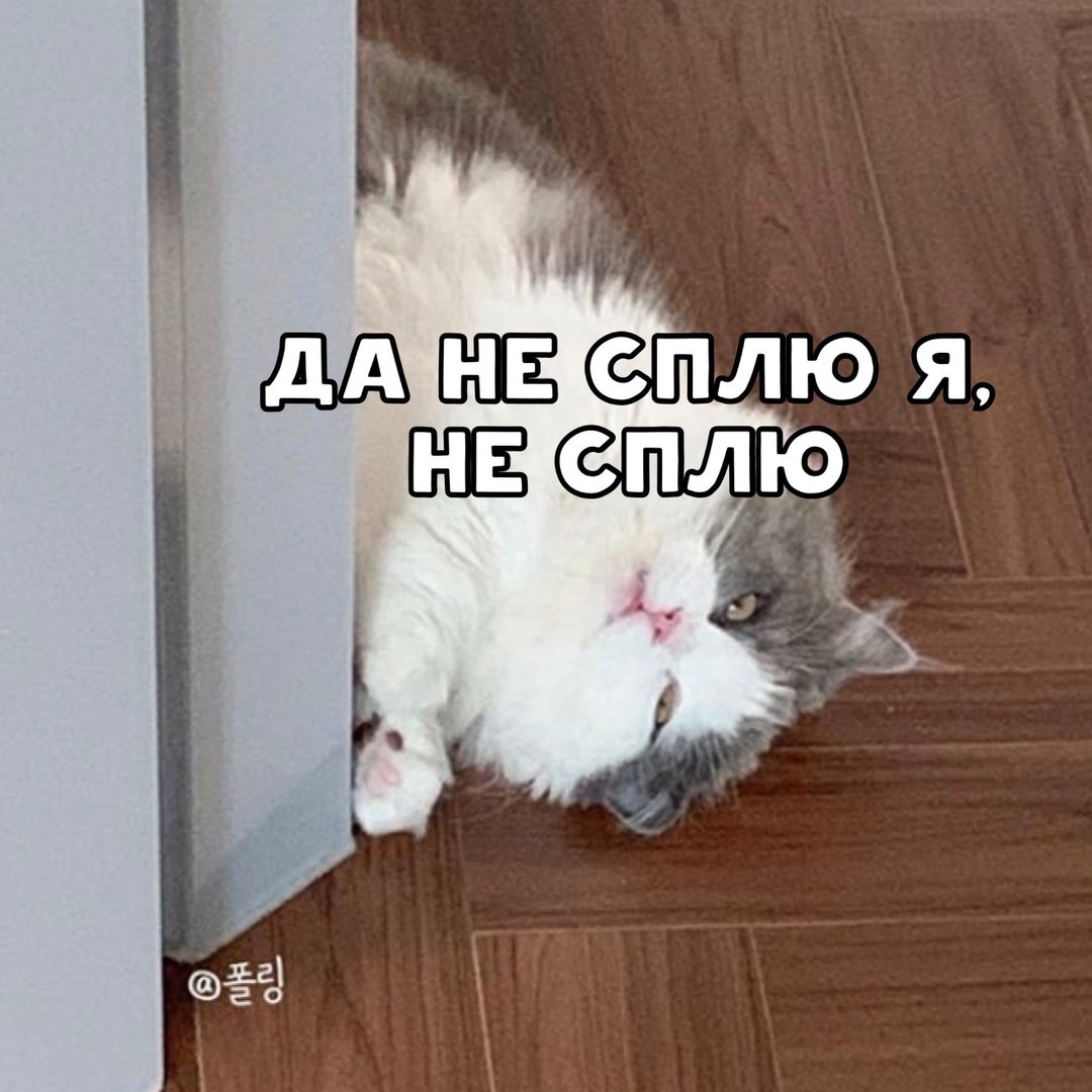Я не сплю