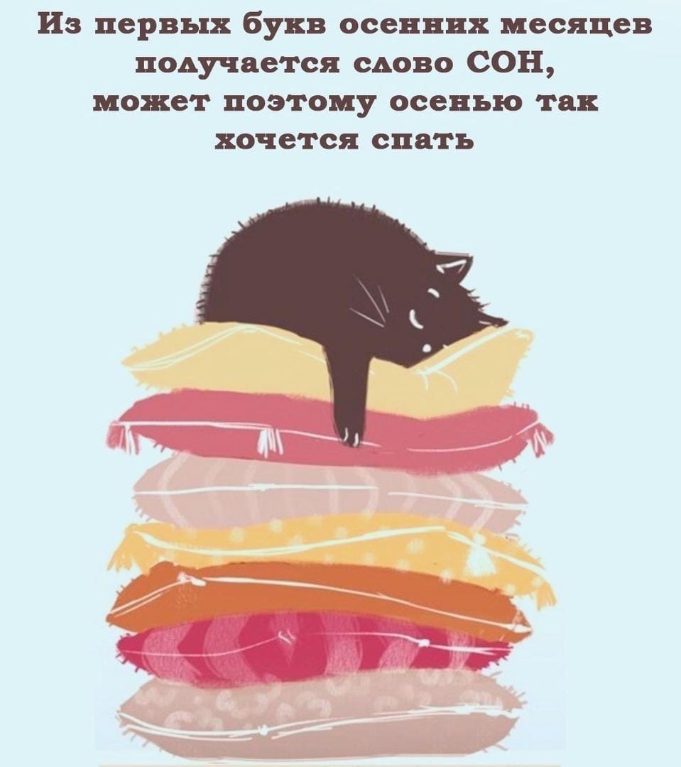 Осенью хочется спать