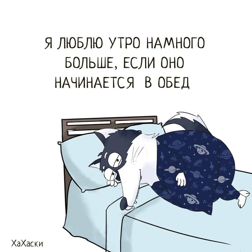 Смешные высказывания про сон