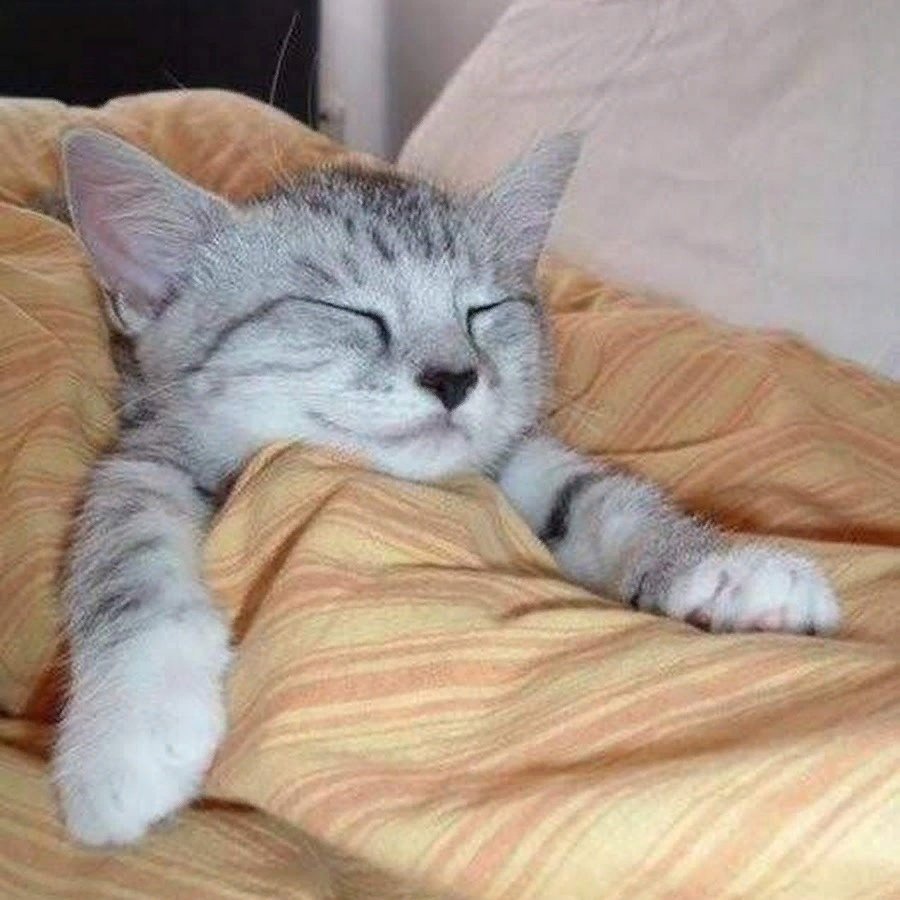 Наташ ты спишь