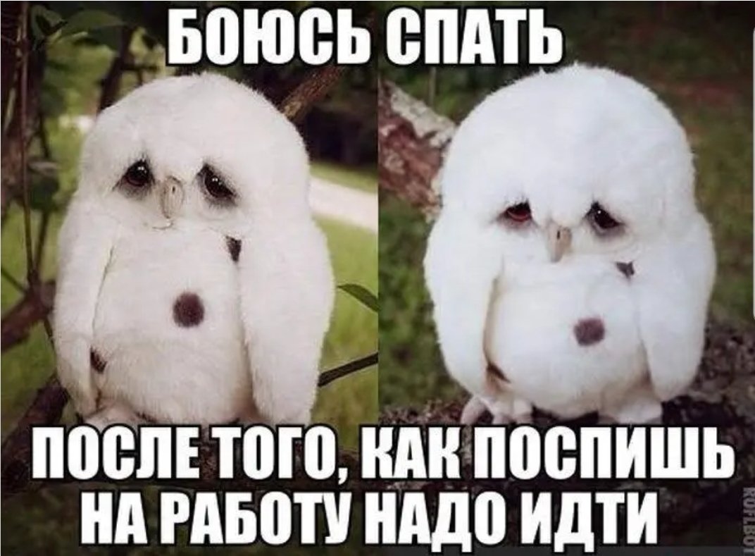 Хочу спать прикол