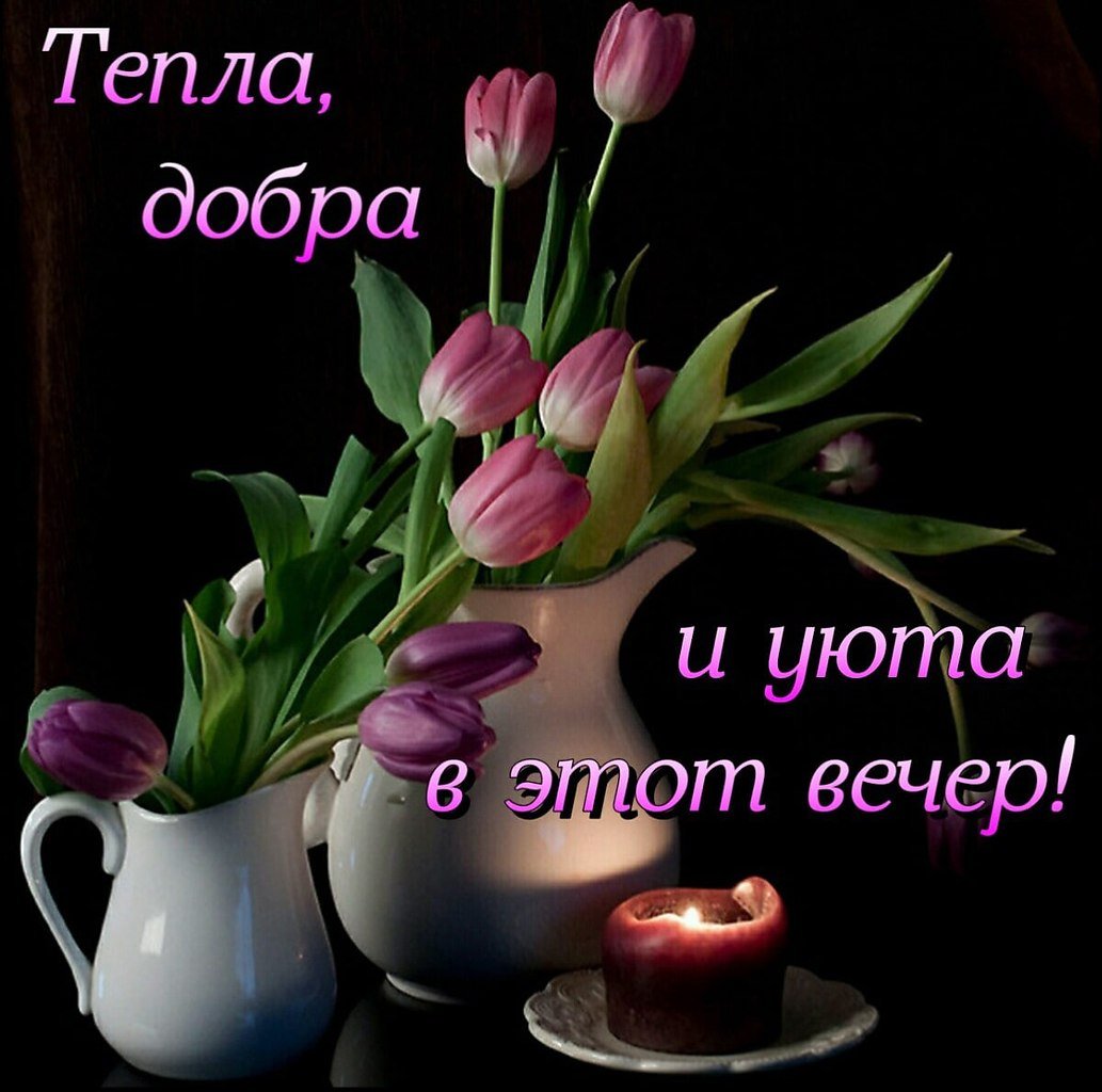 Прекрасного вечера и хорошего настроения