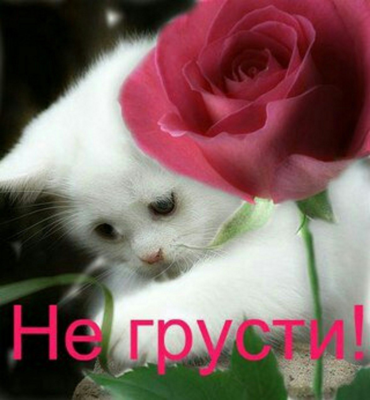 Инночка ты прелесть