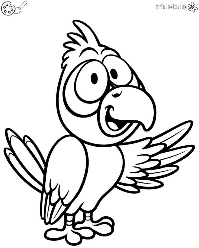 Рио попугай Жемчужинка