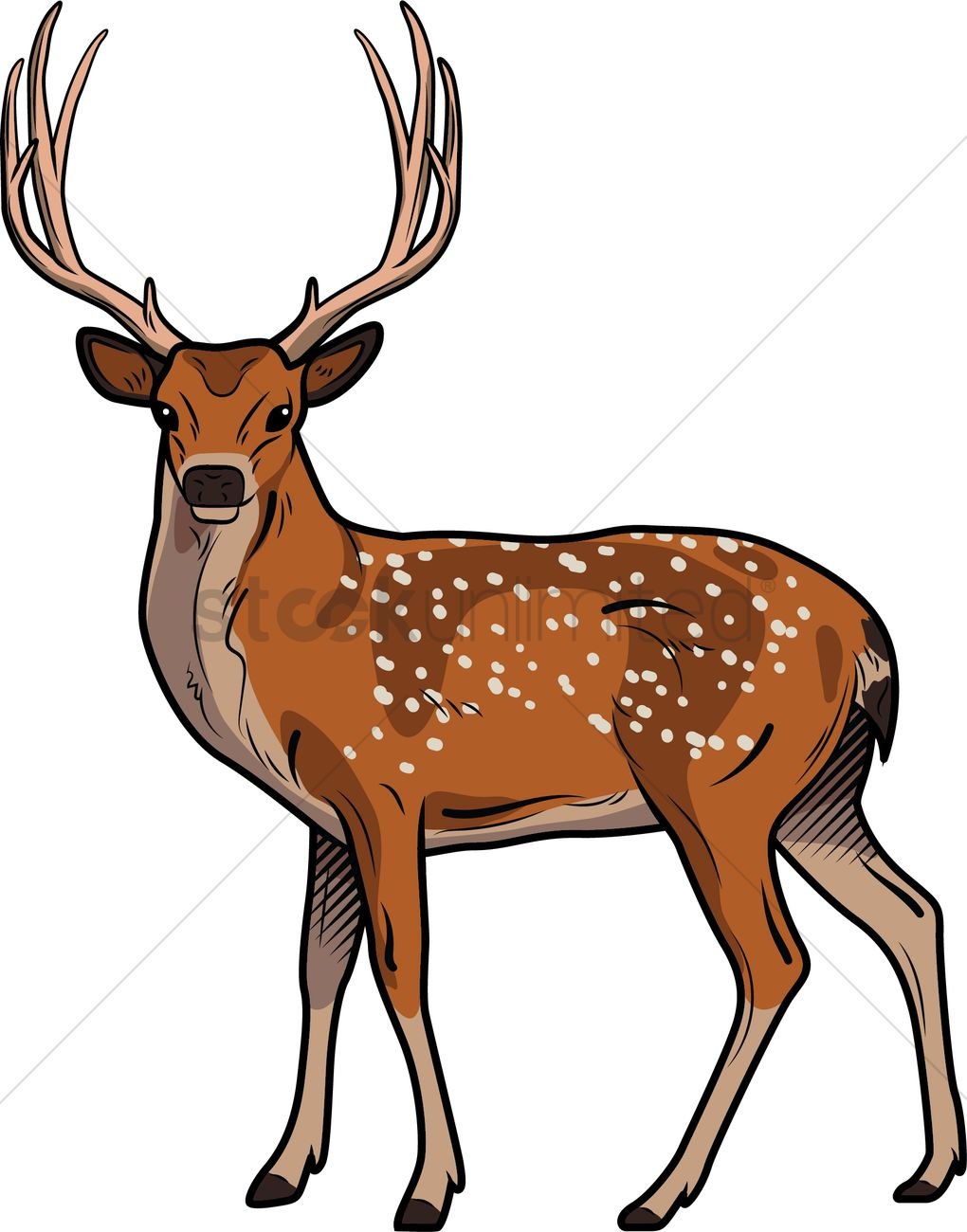 Пятнистый олень вектор рисунок