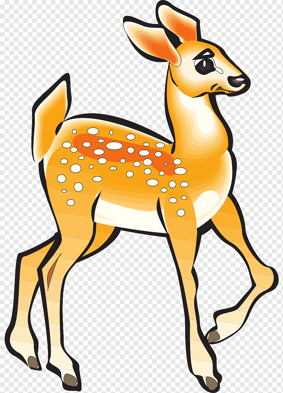 Косуля для детей