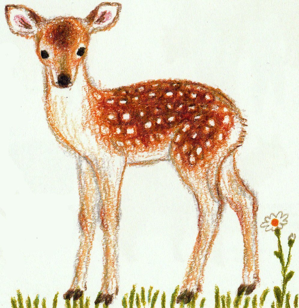 Олененок рисунок