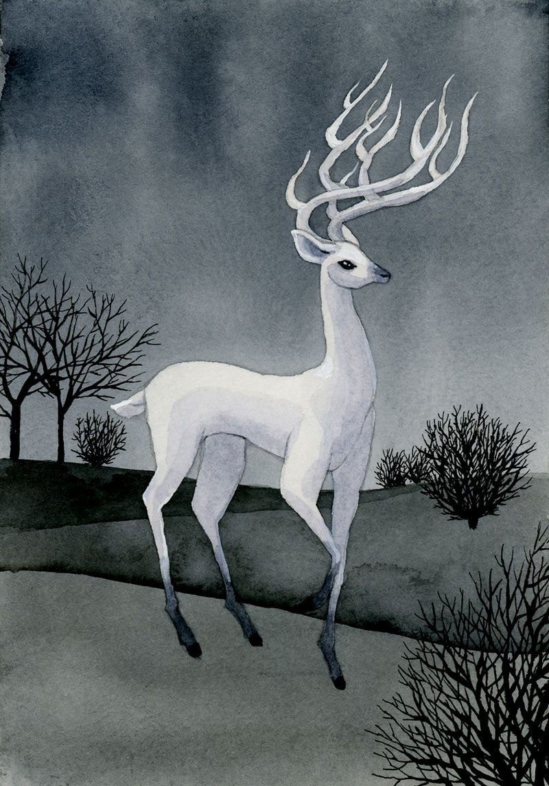 Косуля на белом фоне