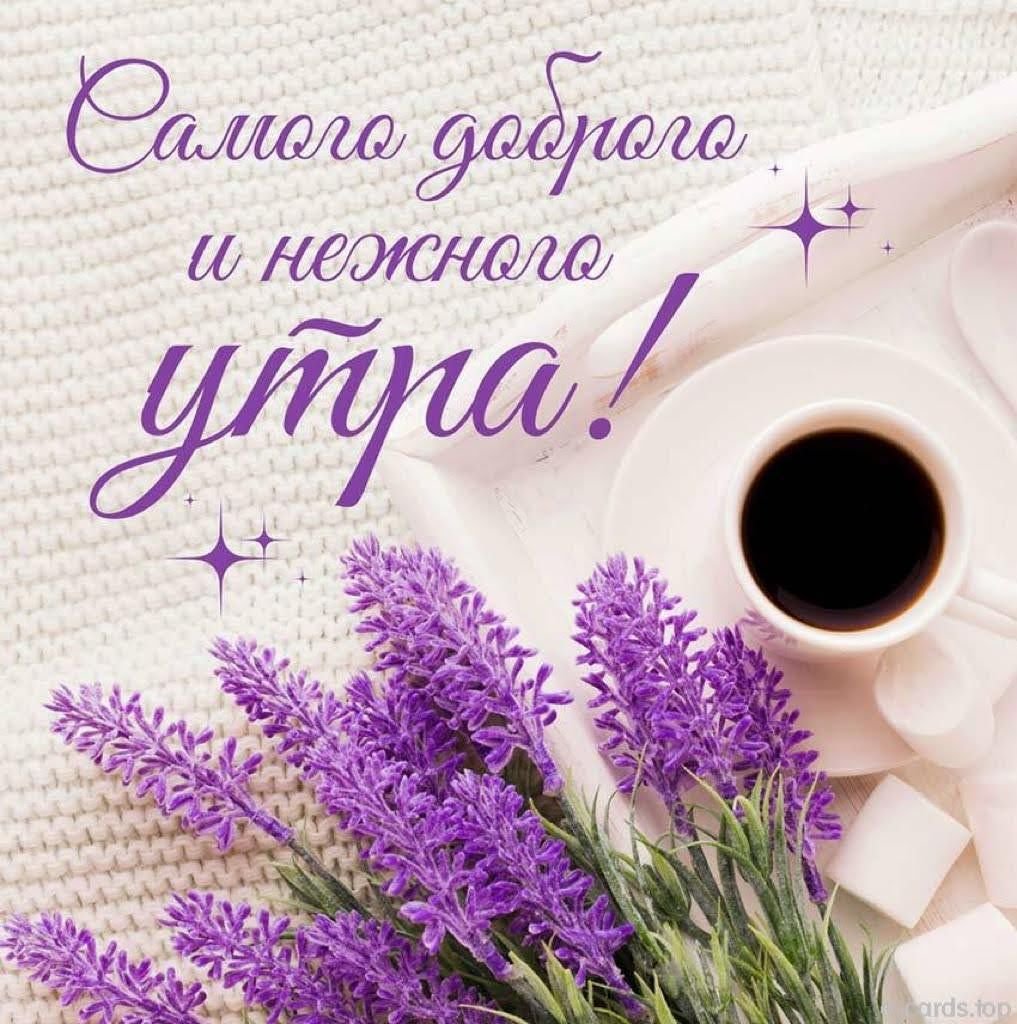 Пусть утро пахнет счастьем