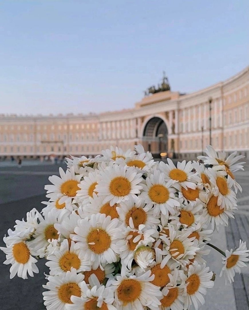 Доброе утро Питер