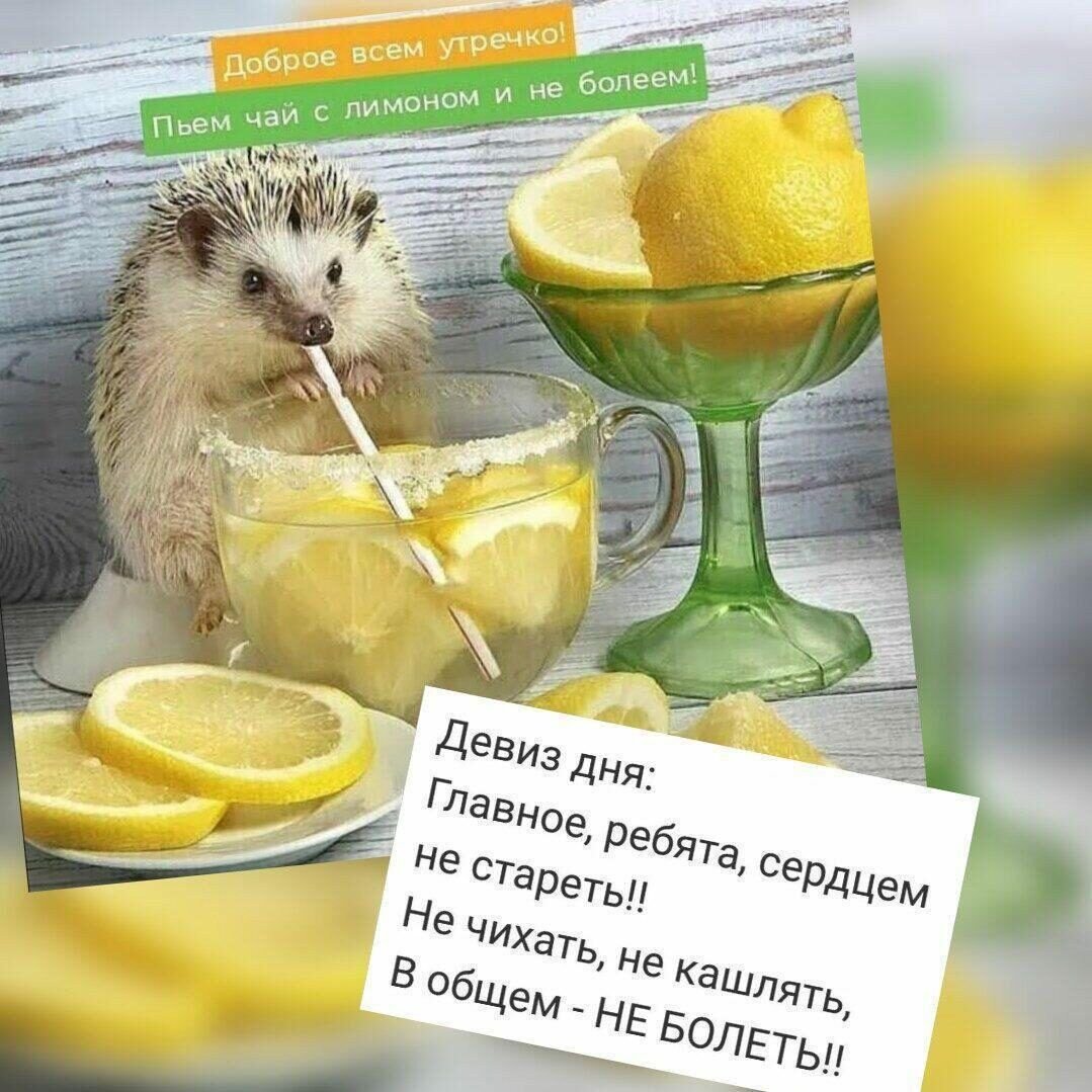 Утренний девиз на весь день