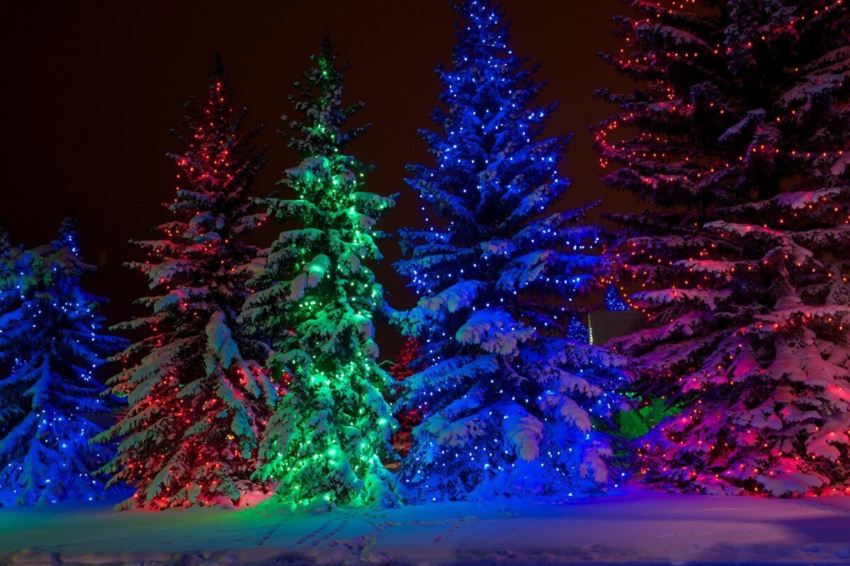 Красивая елка на новый год