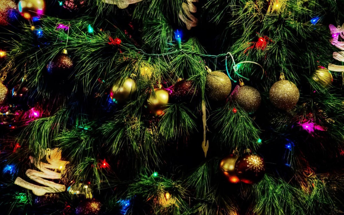 Classic Christmas Tree ель Эванс 0.95