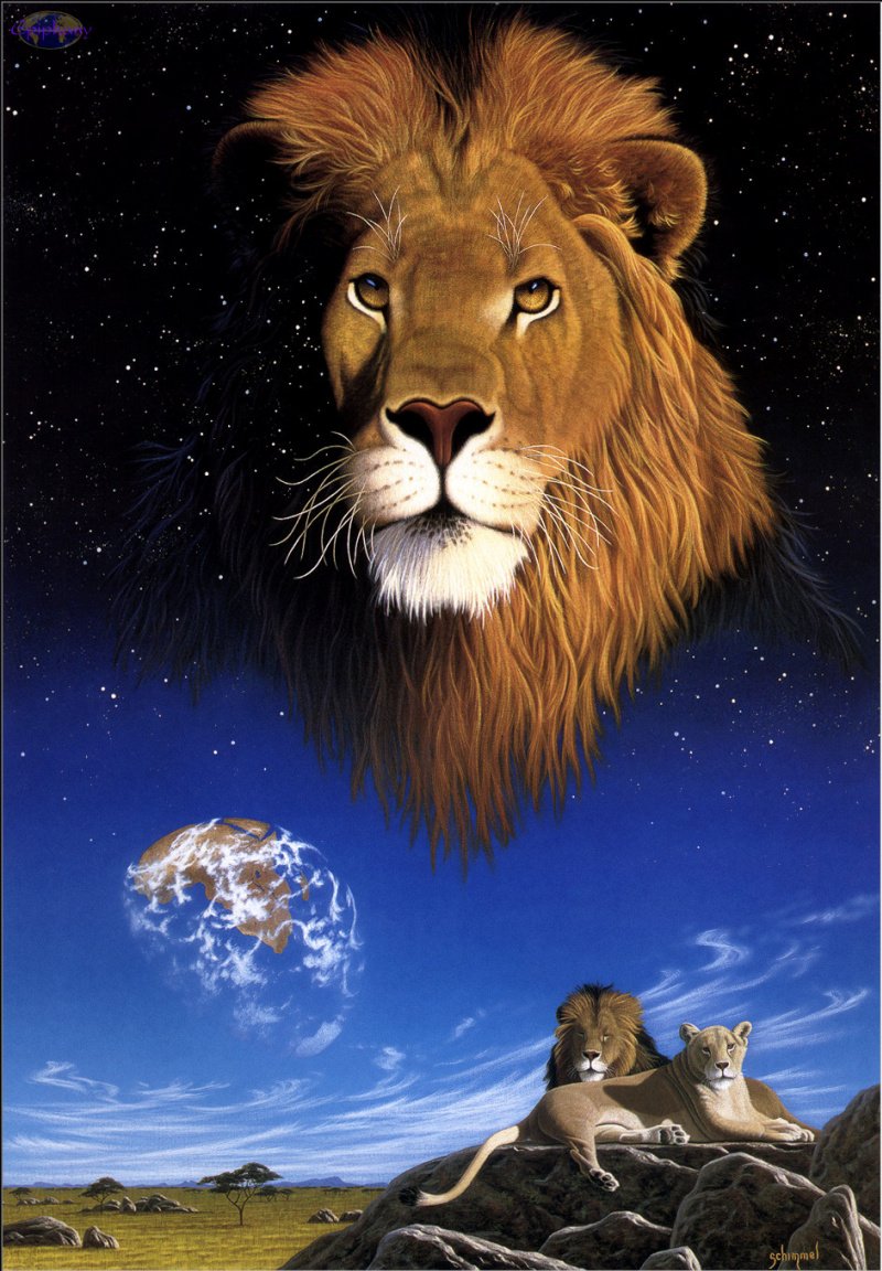 Картинки на рабочий стол Лев