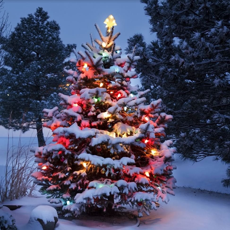 Елка в Рио де Жанейро 2020