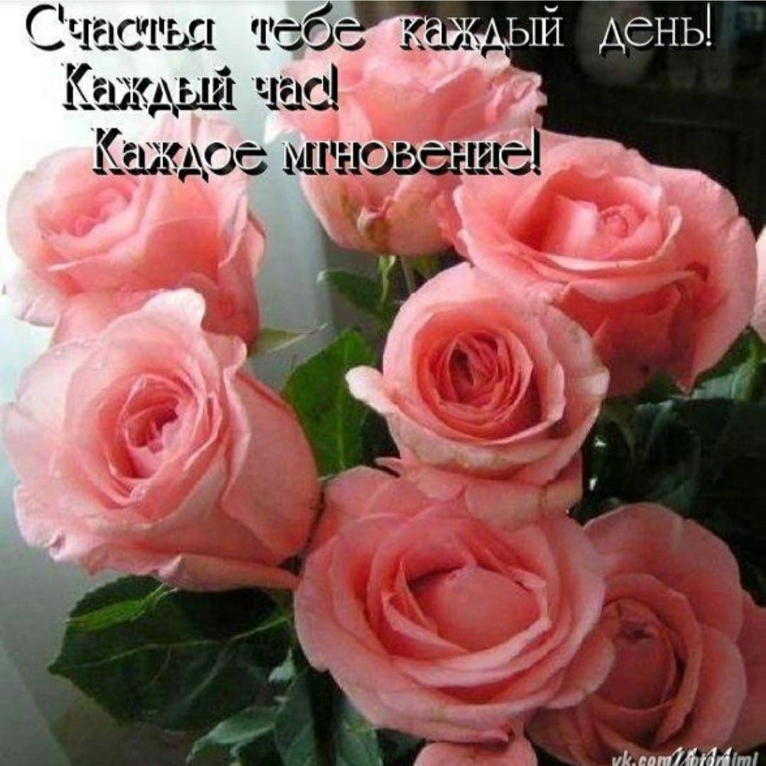 Розы с пожеланиями счастья