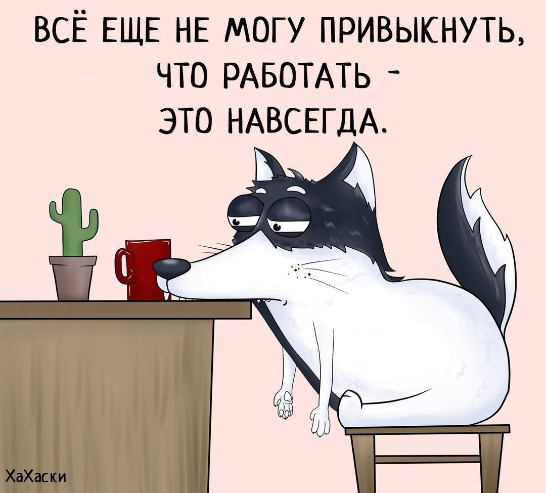 Хахаски картинки смешные