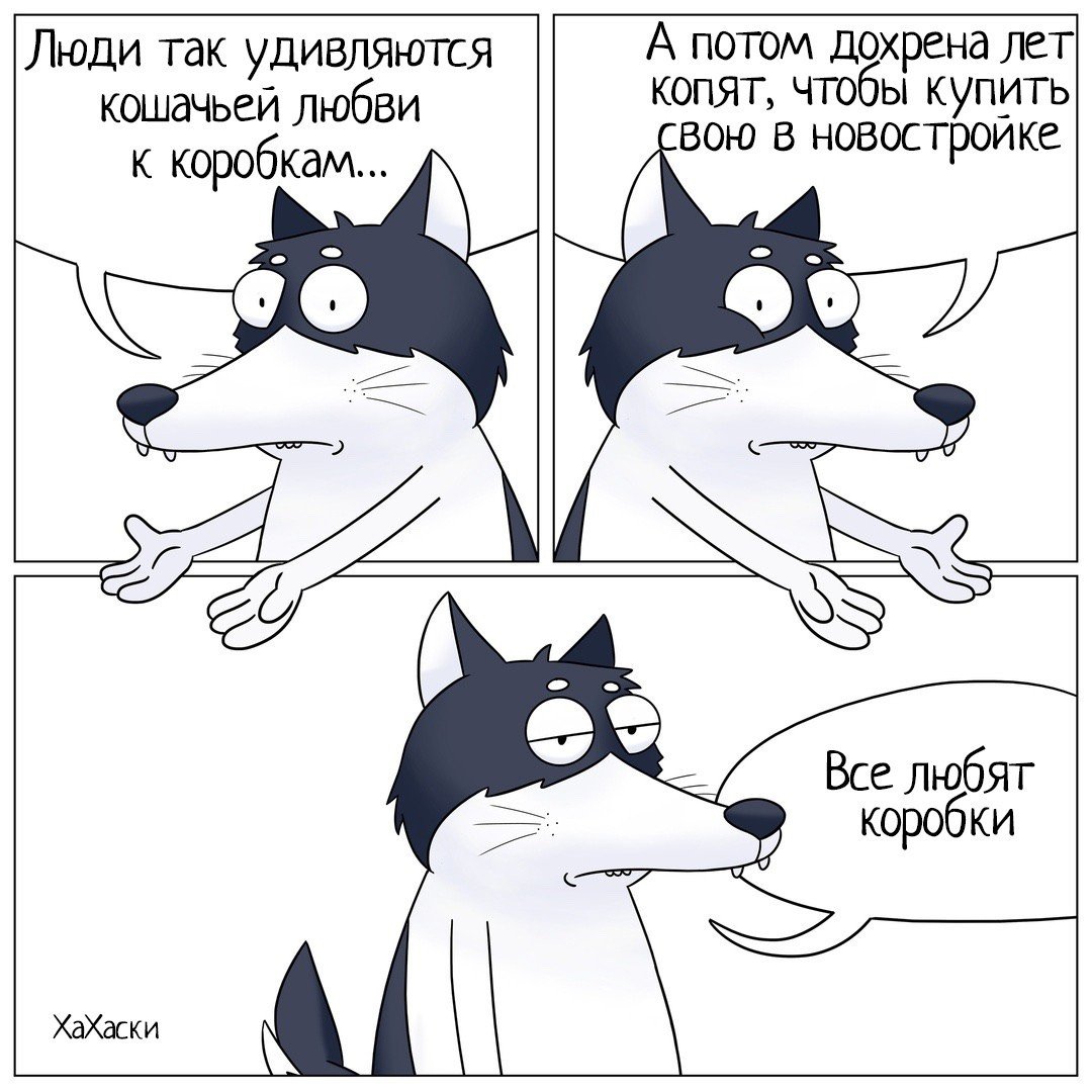 Хахаски новое