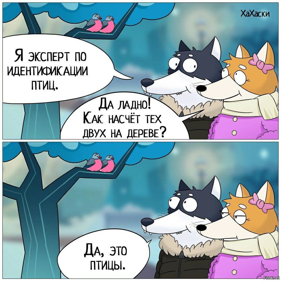 Хахаски новое