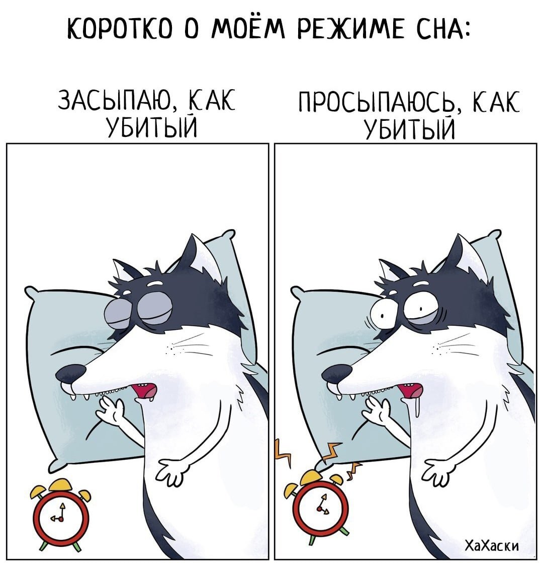 Хаски комикс