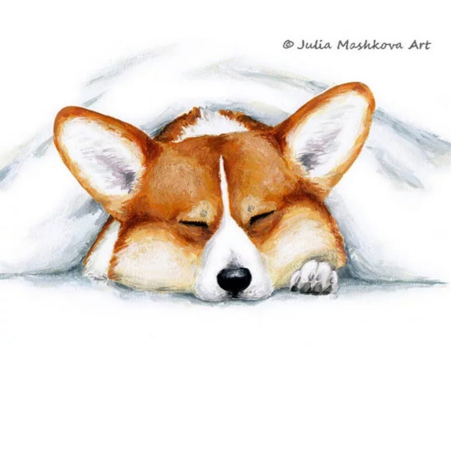 Рисунки корги пемброк