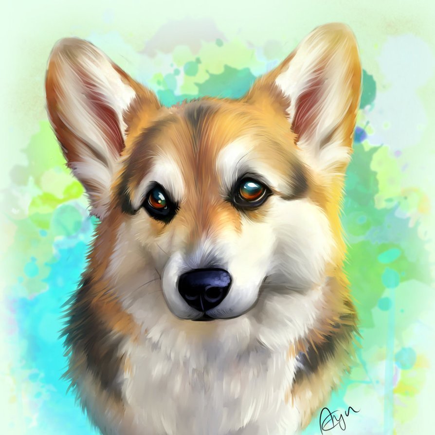 Корги рисуночек миленький