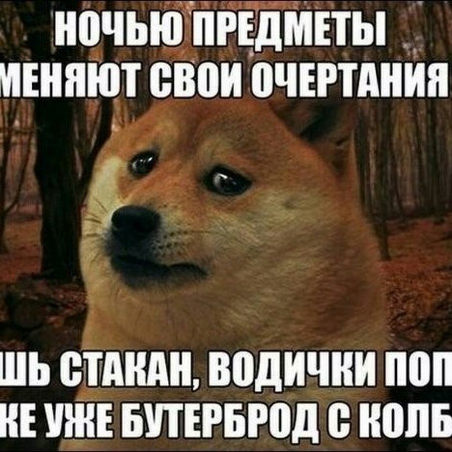 Сон в лунную ночь