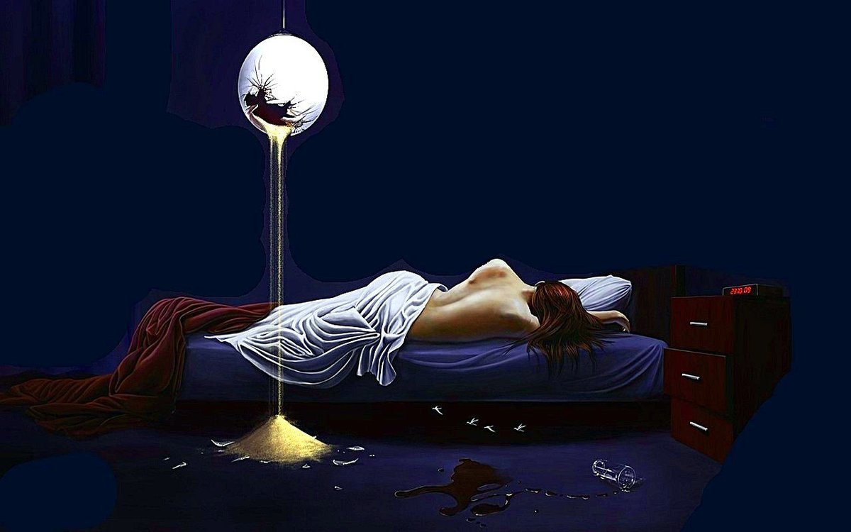 Совенок спит