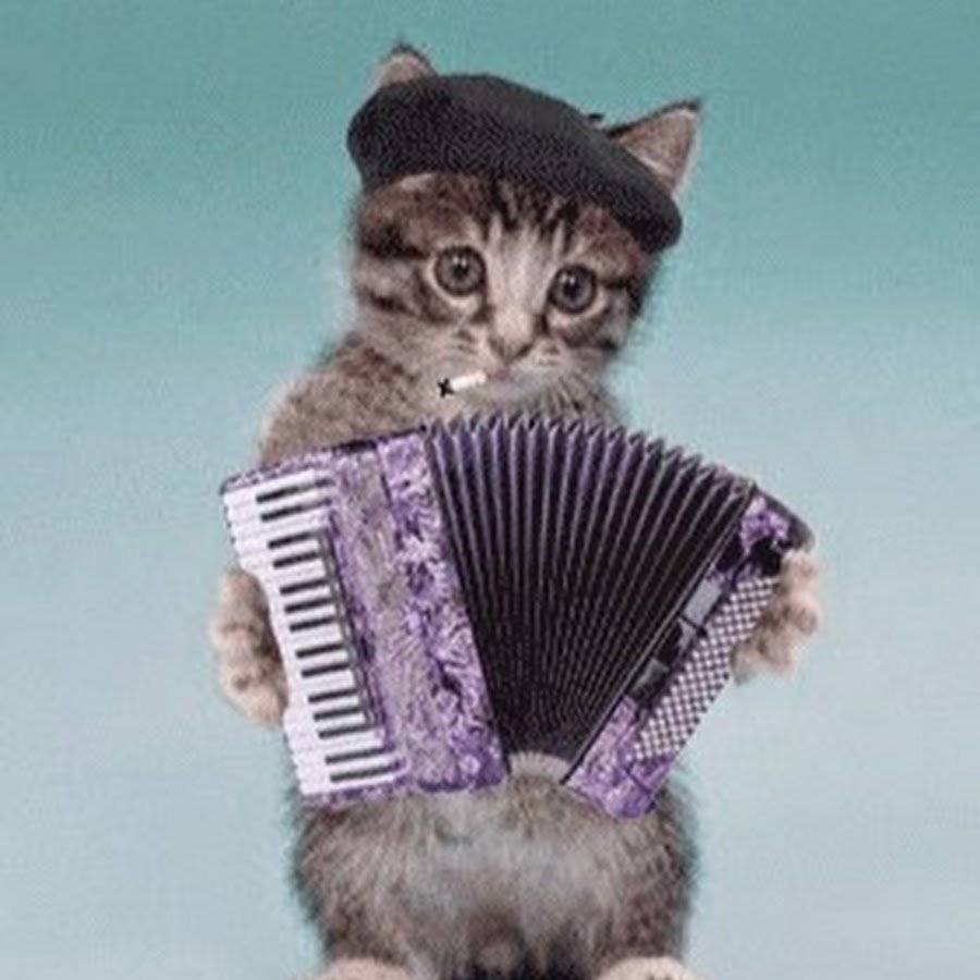 Спасибо за поздравления