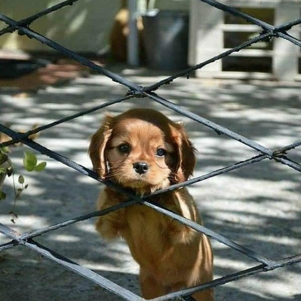 Спасибо картинки