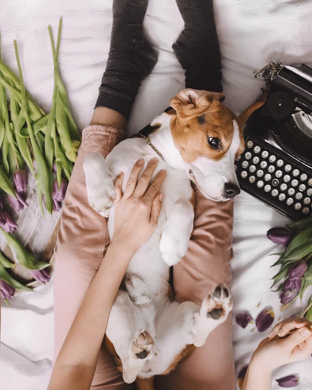 Фотосессия домашних питомцев