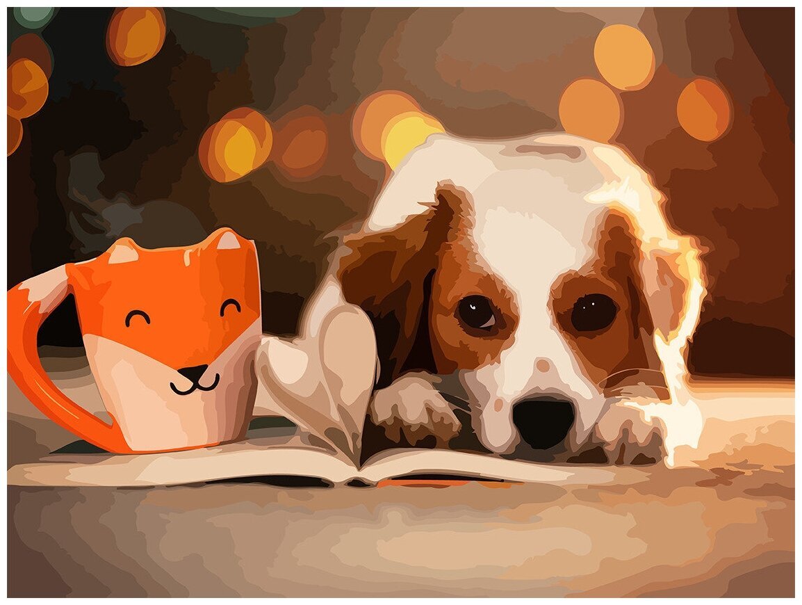 Кошка и собака на белом фоне