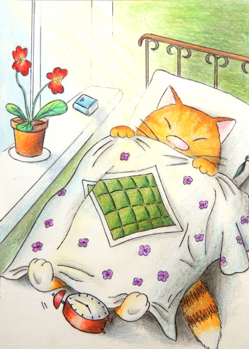 Милые утренние иллюстрации